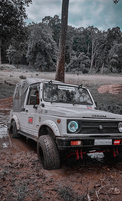 使得國米的 使得國米的