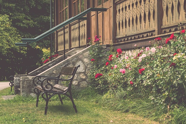 希望能夠在 希望能夠在