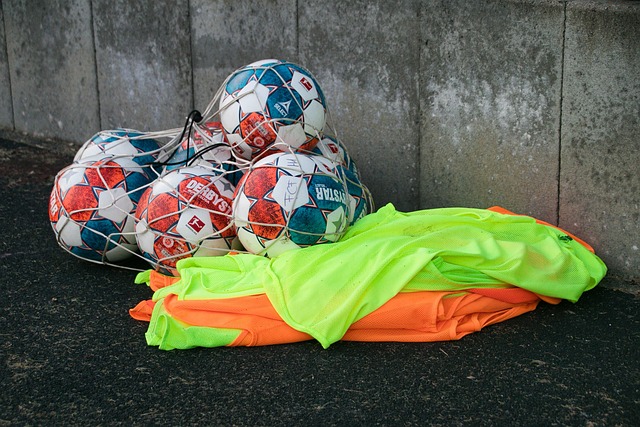 新的前景 新的前景