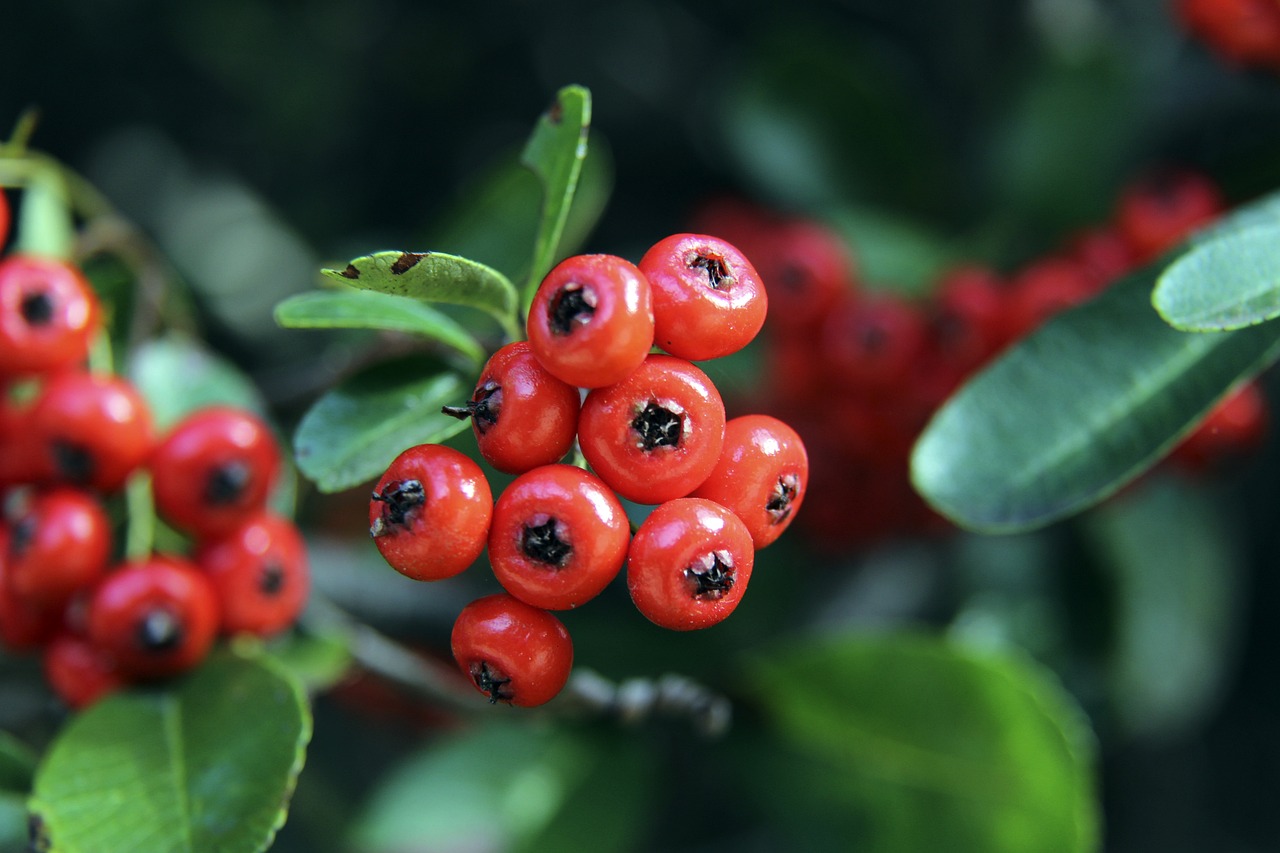 都在自己的 都在自己的