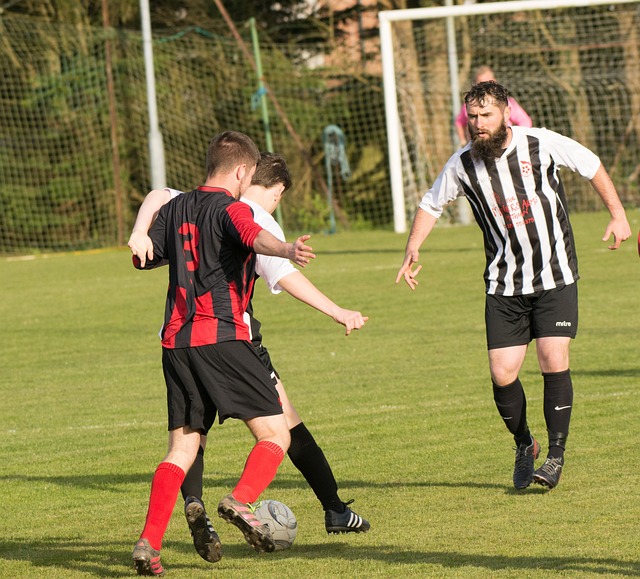 伦纳德的强 伦纳德的强