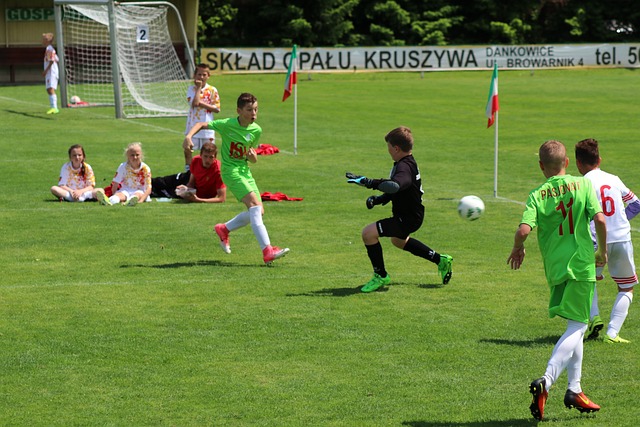 解的得分机 解的得分机